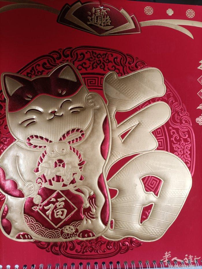 陪问各种翻译服务：医院、警察局，各种医保卡申请，半价地铁票，CAF补助，老年人退