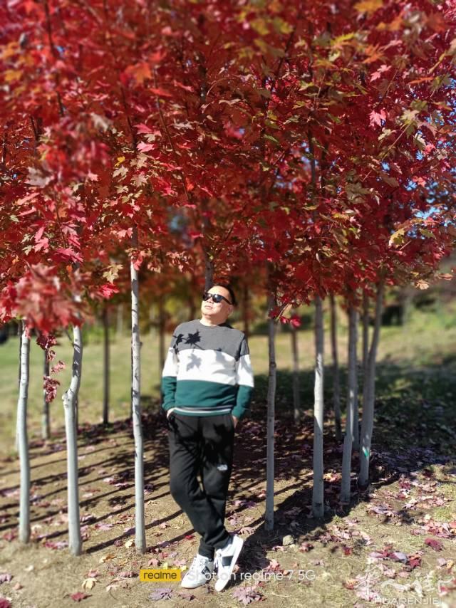 本人中餐二厨。想找一个一起去工作的跑堂女朋友。
