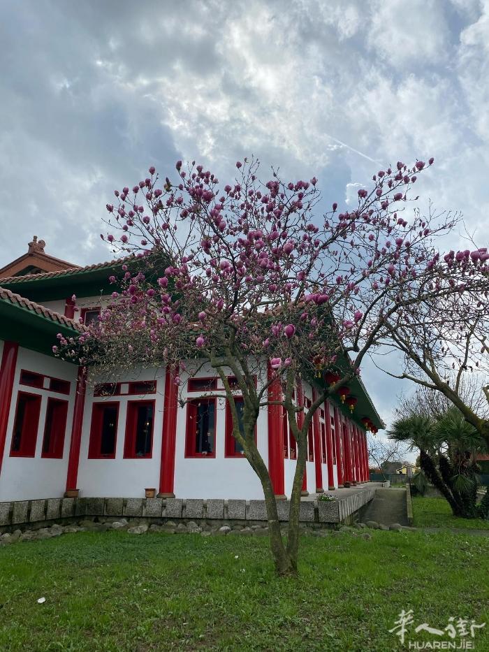 Padova LIMENA 老中餐招聘帮厨，二厨或者周末工帮厨