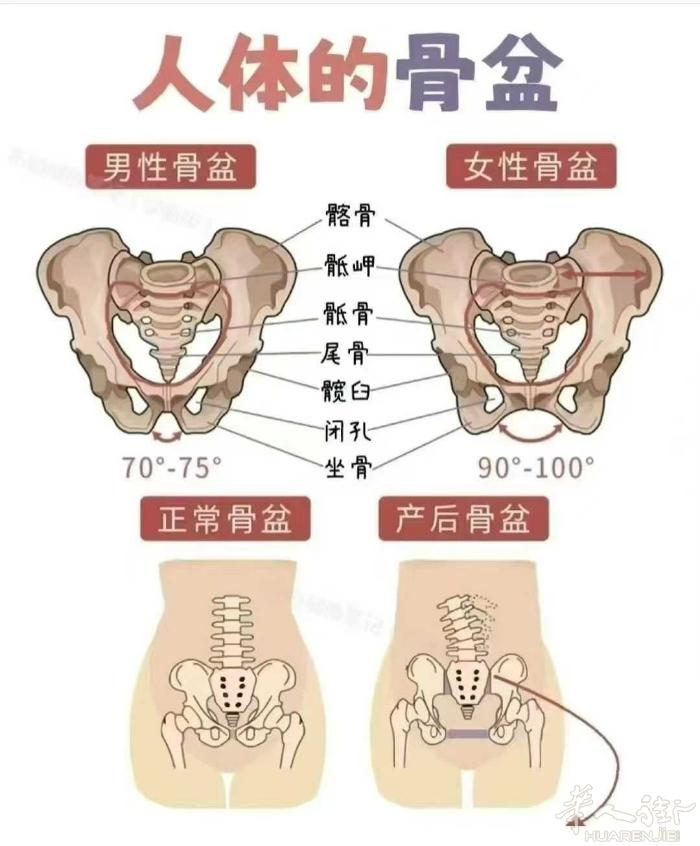 [爱心][爱心]怀孕六个月就开始耻骨疼， 尿频，腿麻……不能平躺， 走路姿势变形
