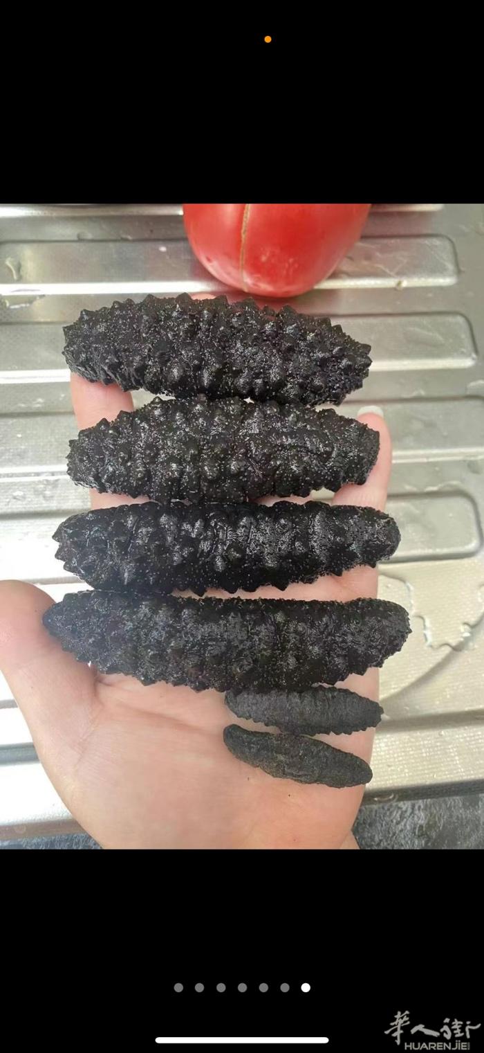 希腊顶级去皮野生乌刺参中号大号到货，泡发率可高达12倍，意大利现货需要的亲们可加