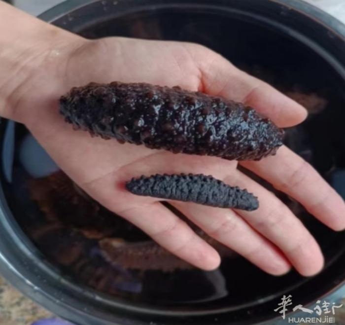 prt卖海参，价格便宜，无添加，真品质，海参选我家，健康带回家。