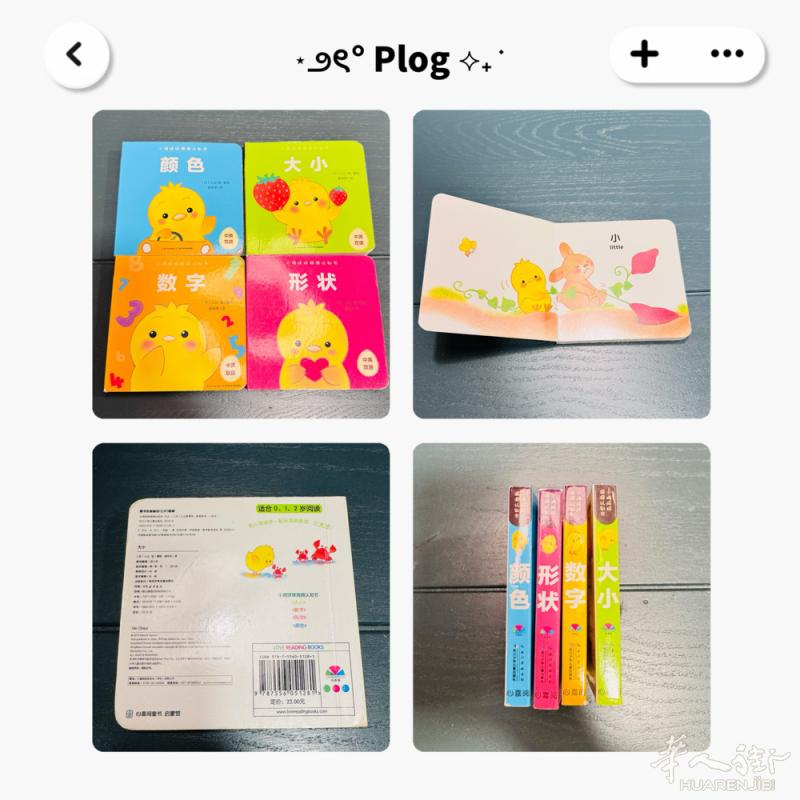 小鸡球球洞洞认知书，正版全4册，硬装不伤手，中英双语，适合 0，1，2 岁阅读。