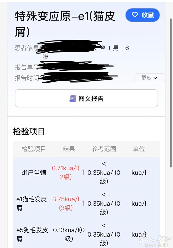 因儿子对猫毛严重过敏，每天喷嚏，眼睛红肿流眼泪不断，忍痛割爱，一只快3周岁的布偶