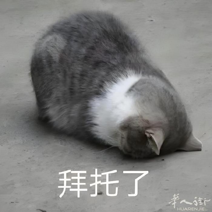 想在ferarra寻找房子，搭铺也可，两个人，需要厨房