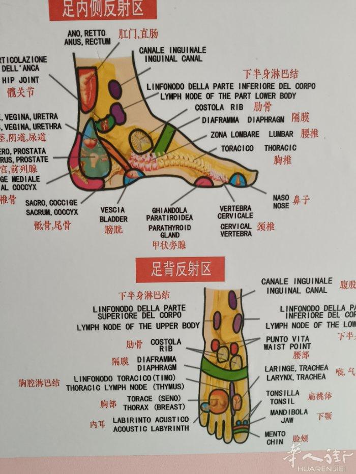 鑫荣推拿健康中心 ，招一个正规按摩女技师， 店内主营专业修脚、足疗按摩、中医推拿