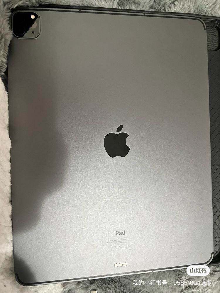 都灵出ipad pro m1 （2021款）512gb 可插卡  买了台电脑所以