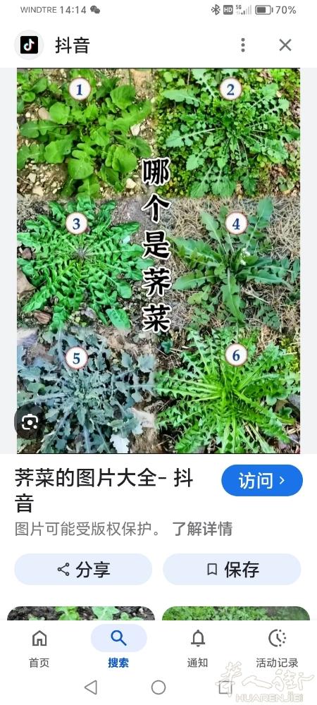 工厂急招车工或者学徒