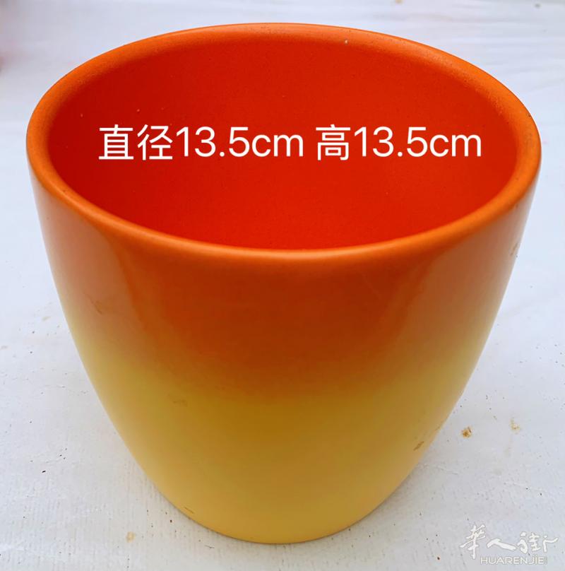 超便宜，先到先得