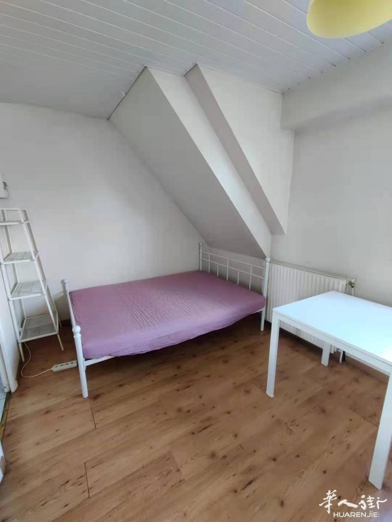 94省,Villejuif(94800) (ID：182161) 20平的 studio  房间1 有家具