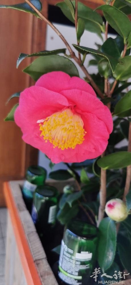 点单中餐出让，方圆30公里独家生意，夫妻店，另🈶发展意者请电：07832498