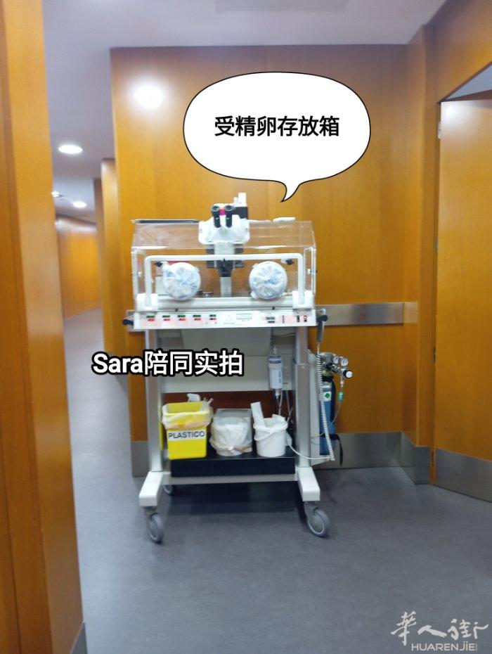 瓦伦西亚专业陪同，9年经验！（房屋公证，代办无犯罪均可）