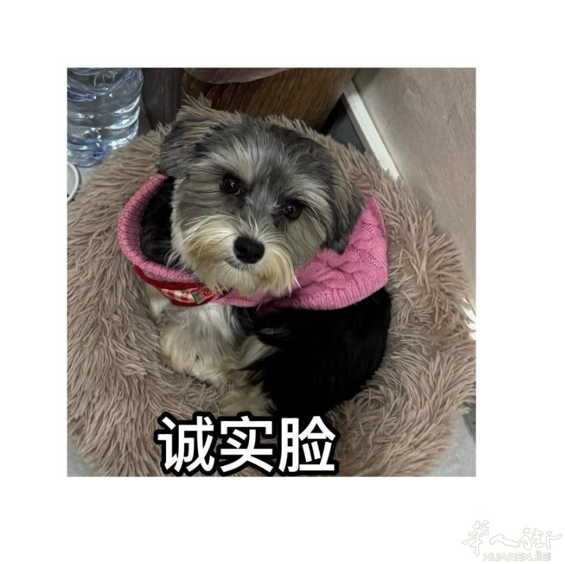 都灵市内美甲店招有语言学徒 小工 中工 包吃不包住 客人好做工作轻松 店内超级好