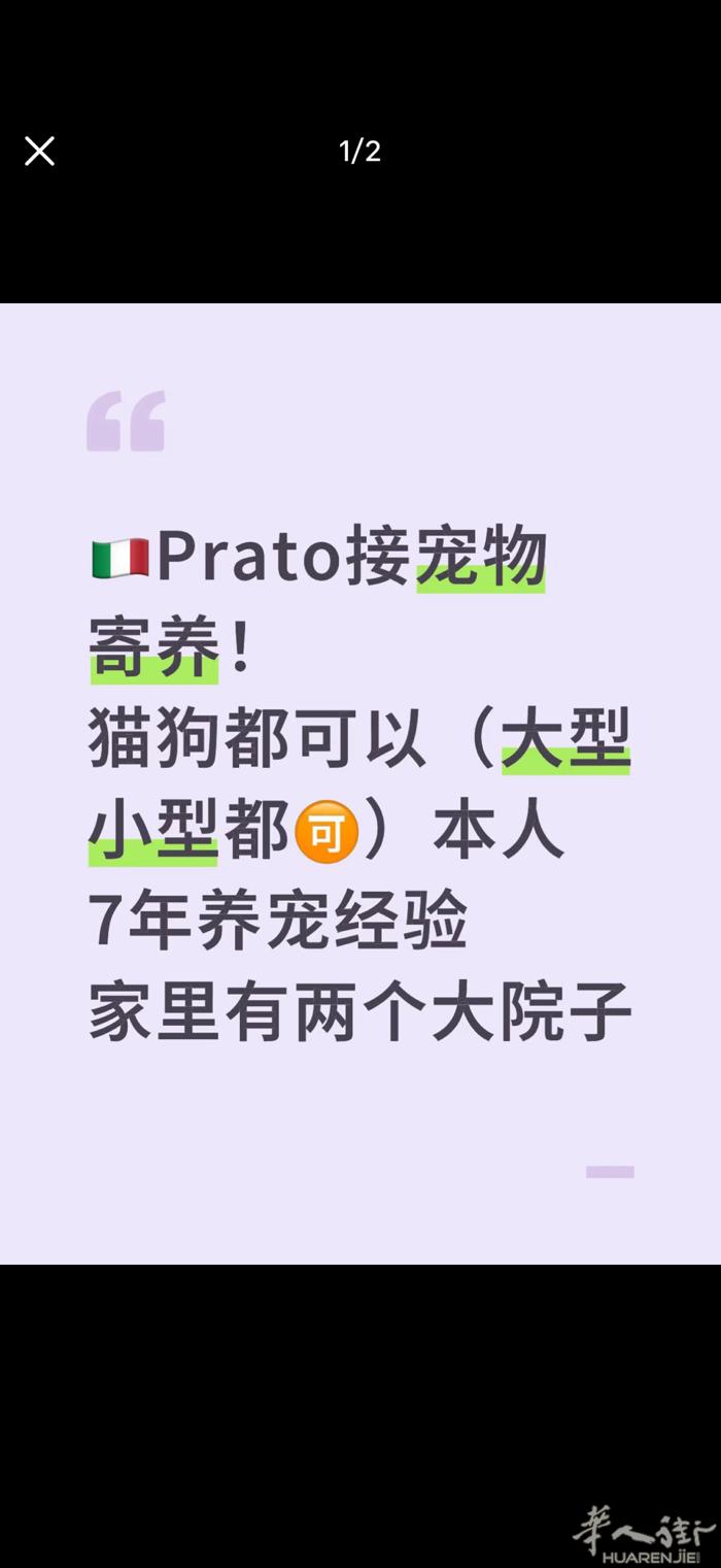 宠物寄养疫苗芯片等…