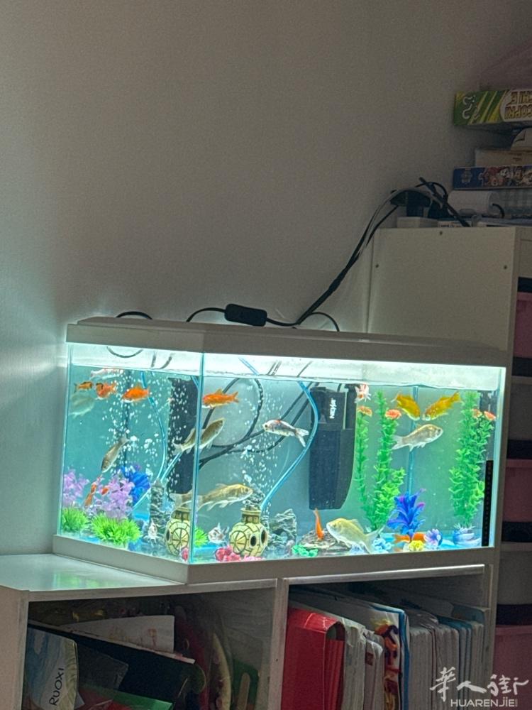 出售鱼缸