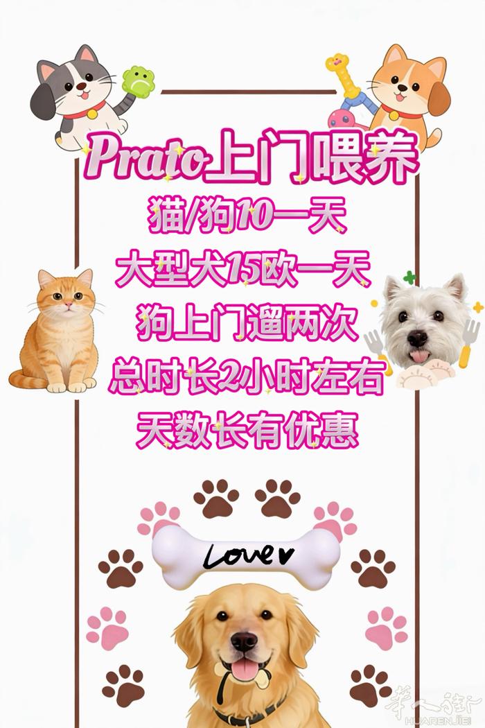 Prato上门喂养