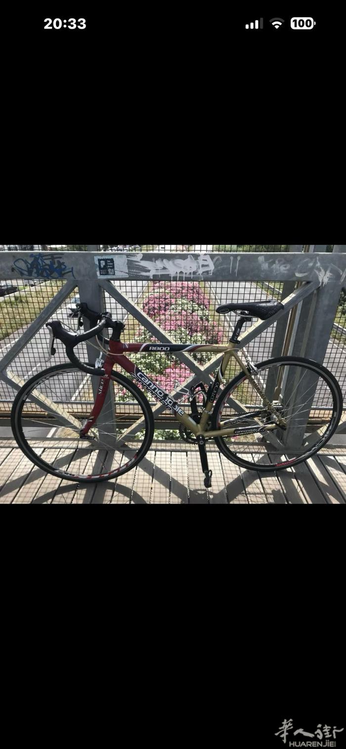 出公路车   Cannodale R800 Optymo wx: T_oni_L