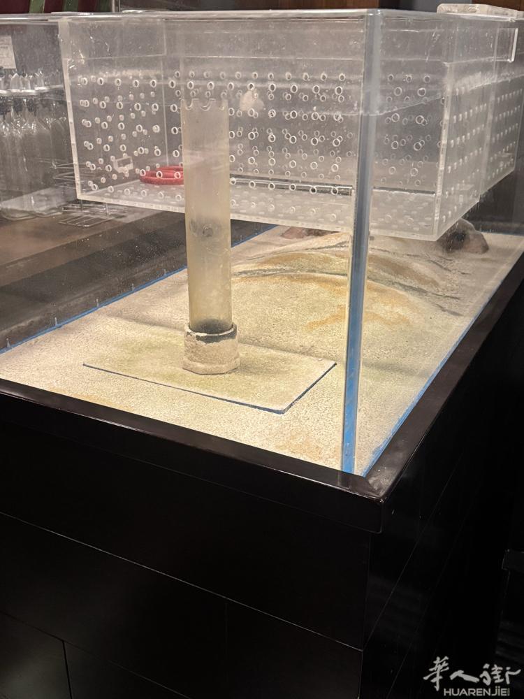 巴塞出二手海鲜缸 长1.25 宽70 高 145。450升 带彩色LED