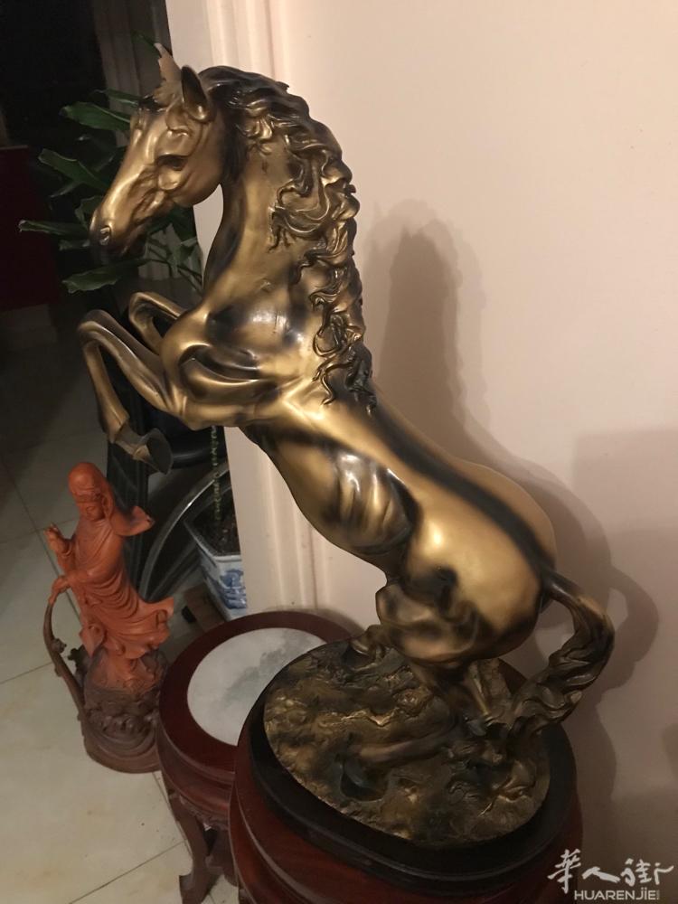 馬年行大運，馬到功成，马年怎么可以少了马坐阵