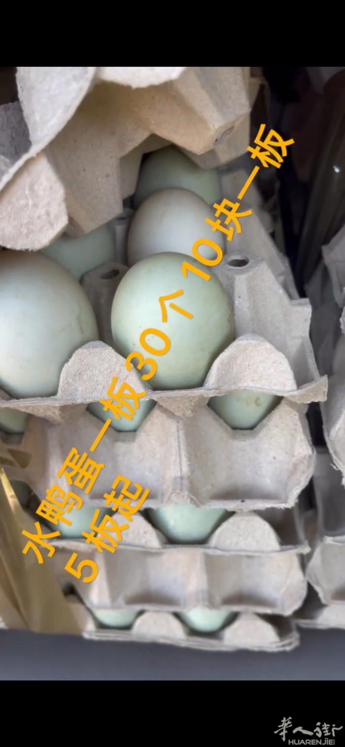 需要鸭蛋的朋友，鸭子 乌骨鸡 鹅可以联系我，买多批发价
