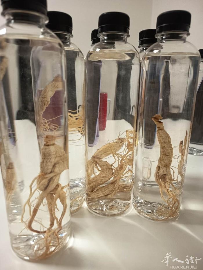 人参高粱酒 白酒选自清香型纯粮食高粱白酒，人参选用4年园参，一瓶容量为500毫升