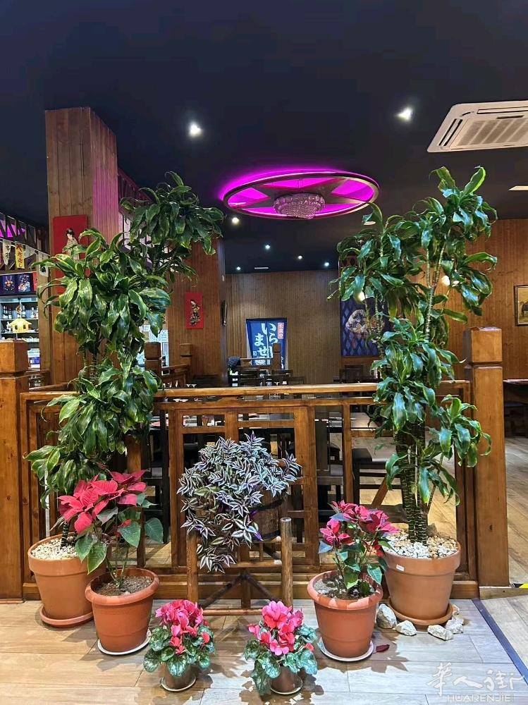 位于 Gandia 黄金地段的日式自助餐厅现诚意转让。 餐厅面积约 250㎡，空