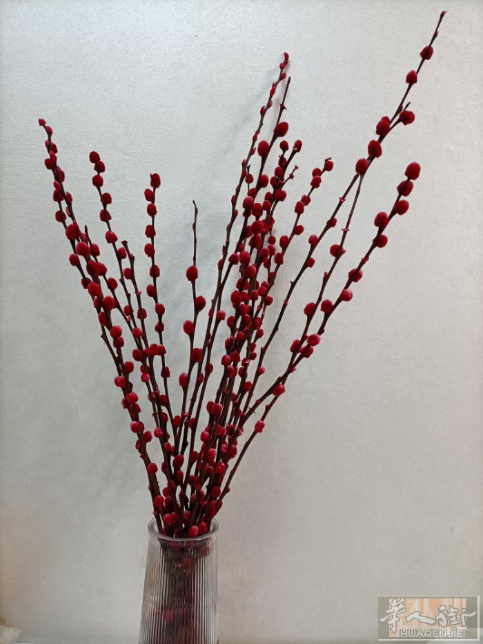 马德里朋友3月4日回福州，两个23公斤的行李出售，有需要的联系671058166