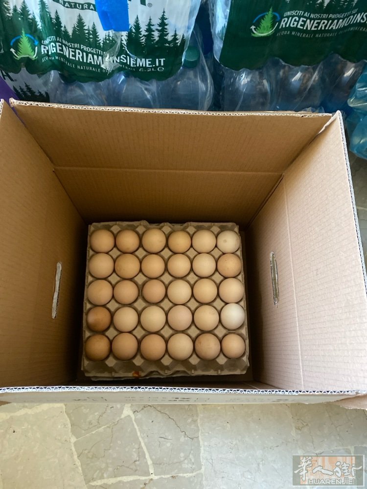 普拉托一米六桥洞边有卖土鸡蛋另外有大房间搭铺在便宜公司对面另有包头鱼头卖。联系电