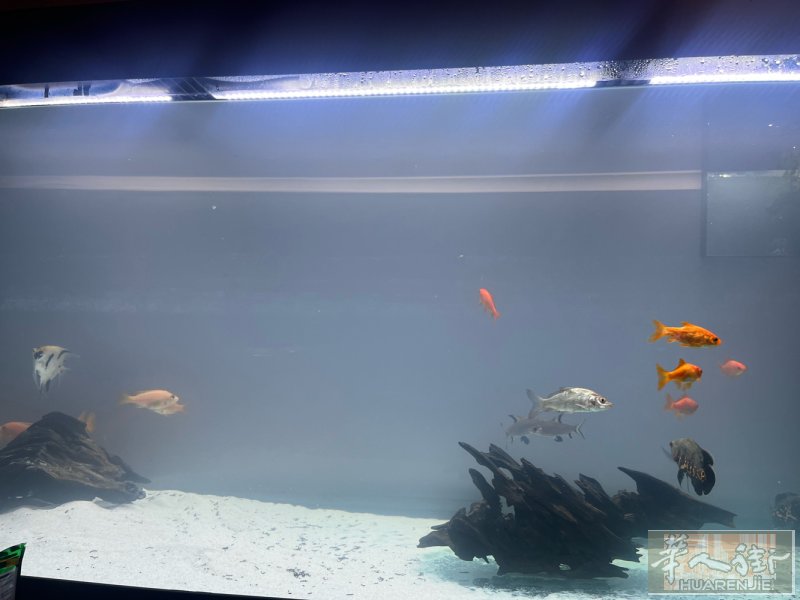 一米八带滤筒鱼缸 用了一年 配件齐全，需自提