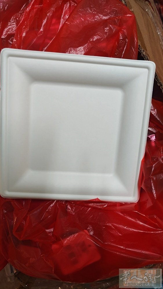 一次性盘子0.1一个尺寸20*20cm。3500个总共一次性拿走便宜卖了