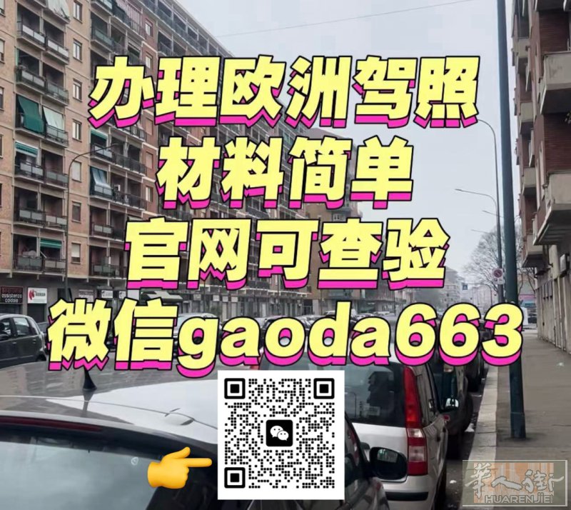 办理欧洲车证 材料简单 时间OK 官网可查验