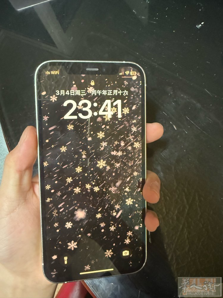 出自用 iphone12pro 95新 原装 电池寿命84%