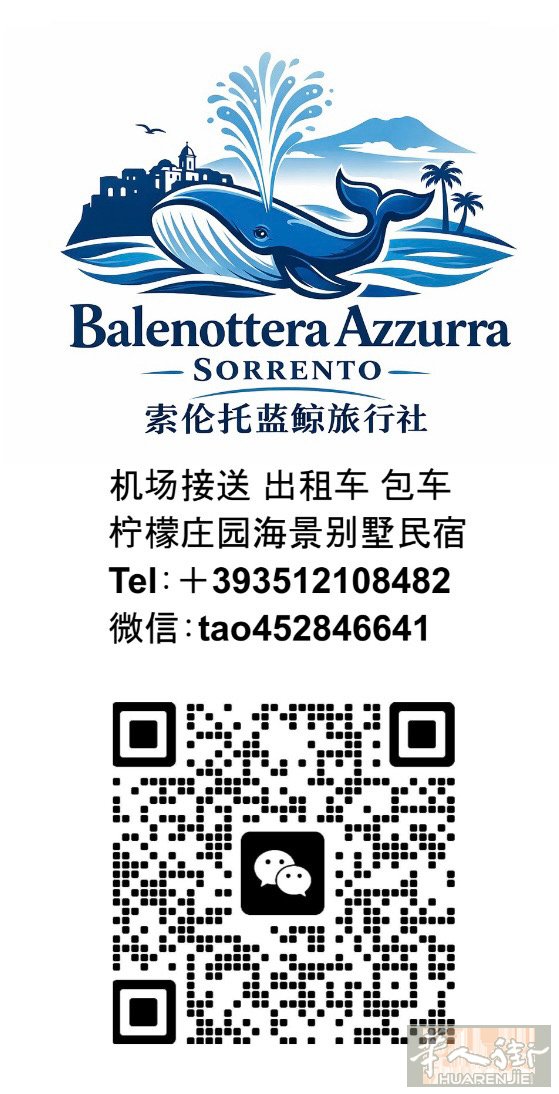 涛涛旅行