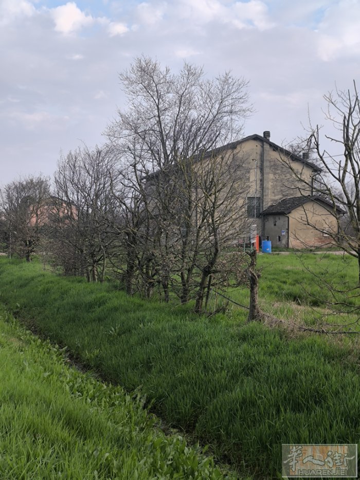 Reggio emilia 管区小地方Novellara 郊区距离火车站开车7/