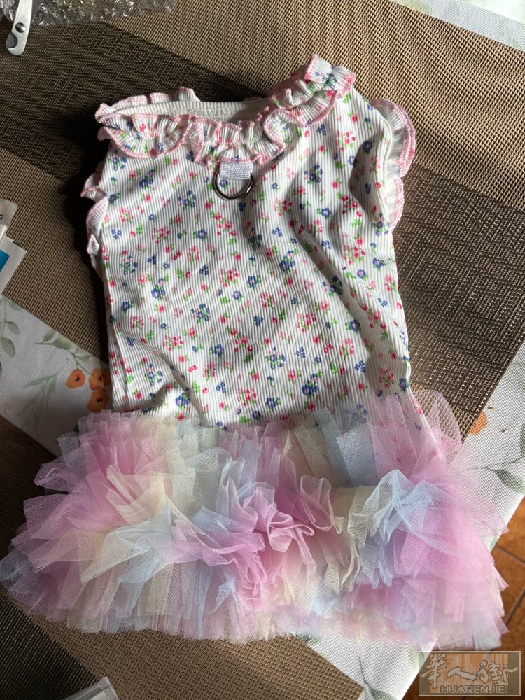 普拉托出全新猫咪衣服和围巾 春夏薄款蓬蓬裙彩虹色：L码 8-11斤 胸围45cm