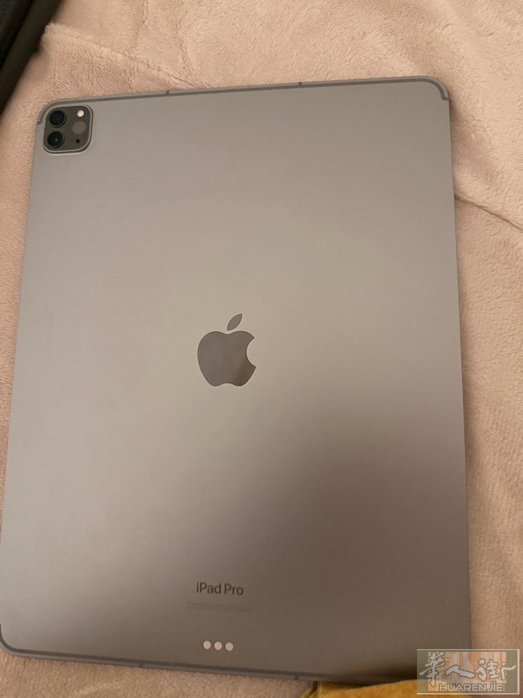 ipad pro 2022 256G 插卡版本