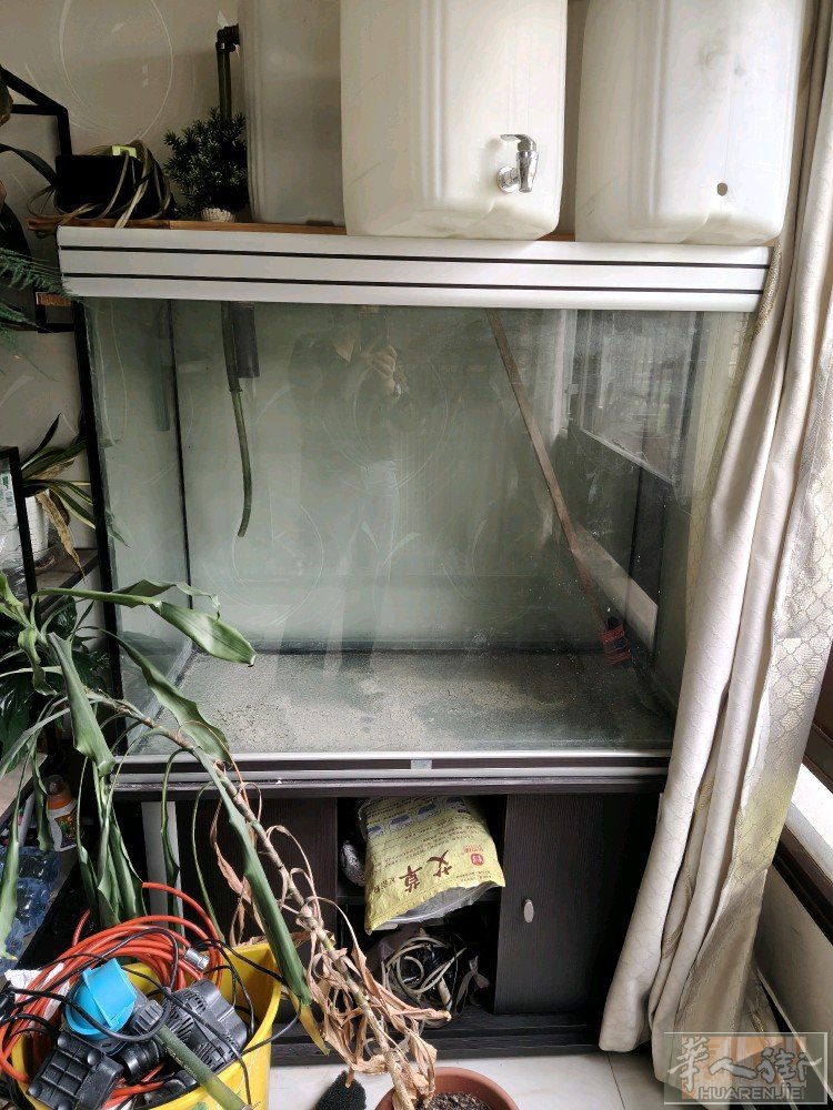 出鱼缸100