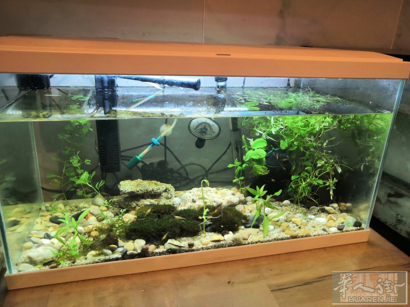 出售鱼缸100*40*50 设备齐全 120欧