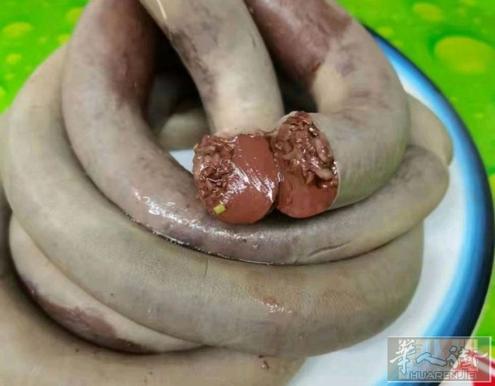 血肠，刚刚出锅，10欧一份，有要的下单哈！微信：13836280045