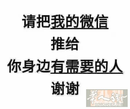Prato24小时接单服务豪华商务车接送5做8做价格优惠大行用车多可