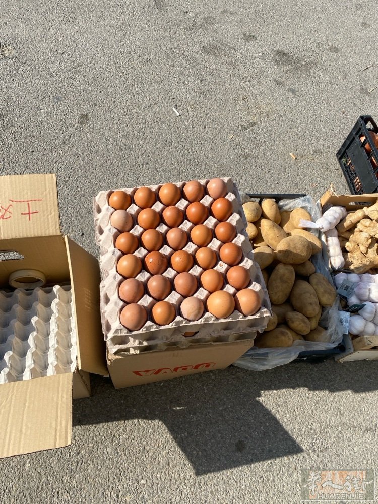 1米六桥洞有住家搭铺价格便宜需要联系电话3318292927另外有土鸡蛋卖