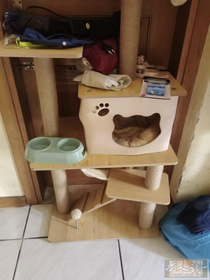 全新木制猫爬架；买来99欧；现在60欧出；不养宠物了