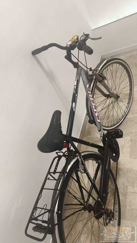modena二手自行车出售