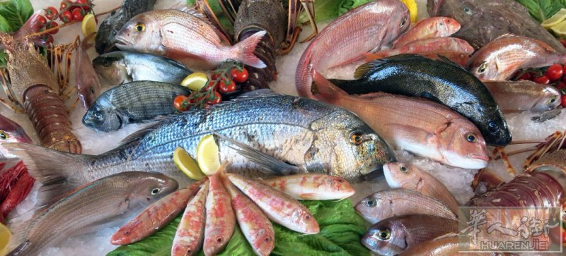 你还在为找不到稳定海鲜供货商发愁吗❓  我们来了👇 🐟 新鲜捕捞 🦐 高品