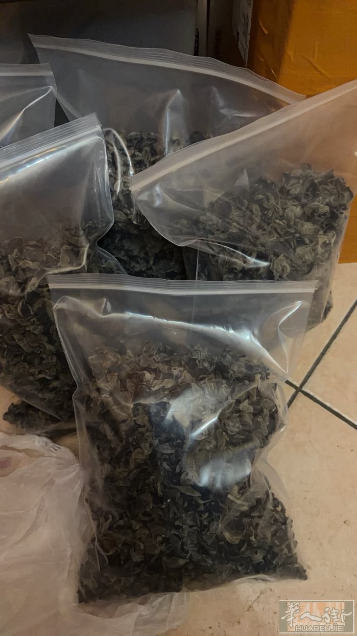 东北顶级黑木耳，自己家乡特产，不掺假。感觉不好吃可以退10欧元一袋500g