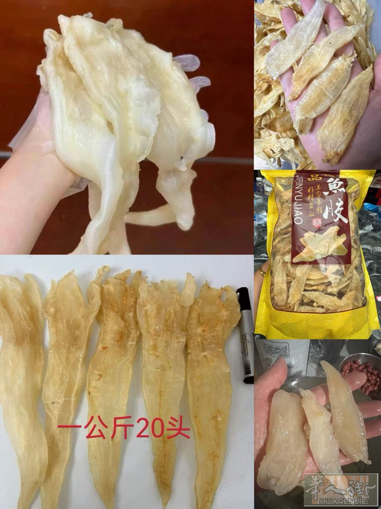 鱼饺   燕窝  刺参。价格公道 prato 可送货上门 d h05620