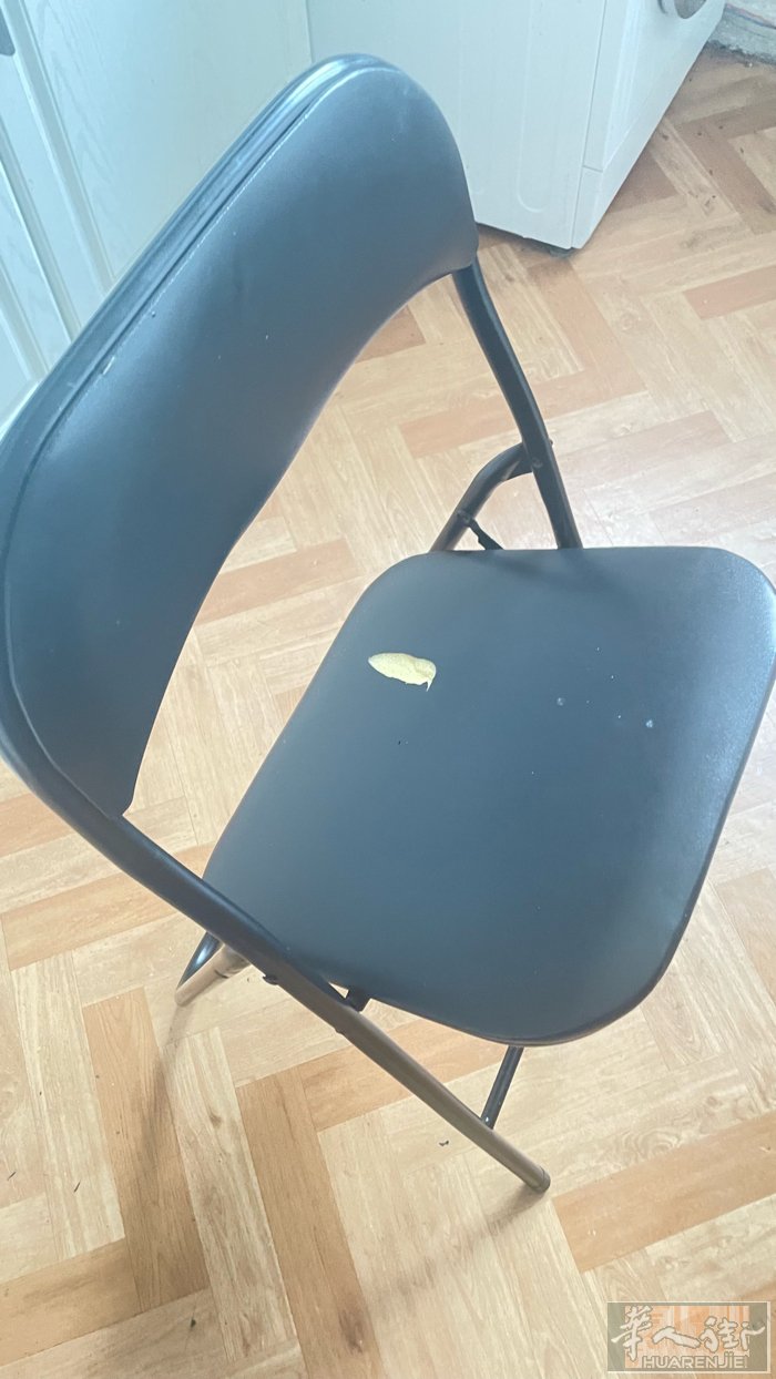 出售折叠椅，意者电