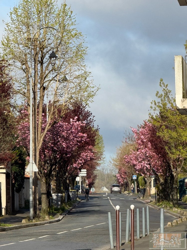 15区找女室友合租20单身公寓全新装修，拎包入住，附近安全街区，bus， 12/