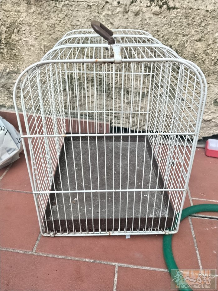 鸟笼10欧有需要的联系