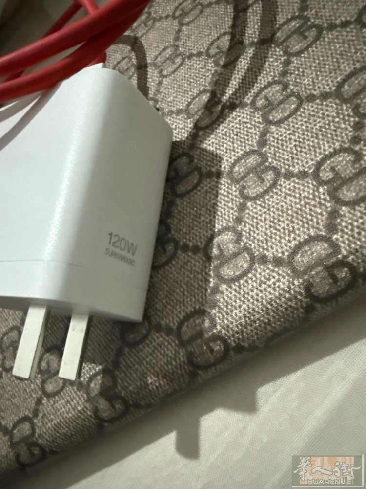 Oppo ，一加+ Vivo，120w 原装充电器，99新，米兰华人街，15欧，